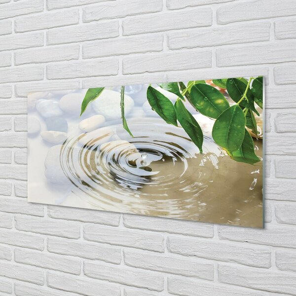 Quadro in vetro Schizzi d'acqua 100x50 cm 2 appendini
