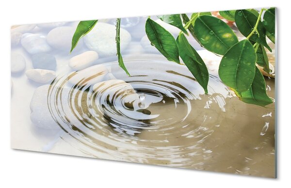Quadro in vetro Schizzi d'acqua 100x50 cm 2 appendini