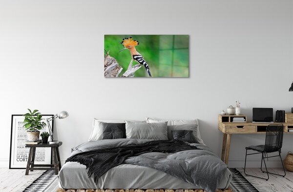 Quadro in vetro Pappagallo color albero 100x50 cm 2 appendini