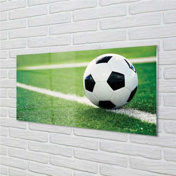 Quadro in vetro Palla da prato 100x50 cm 2 appendini