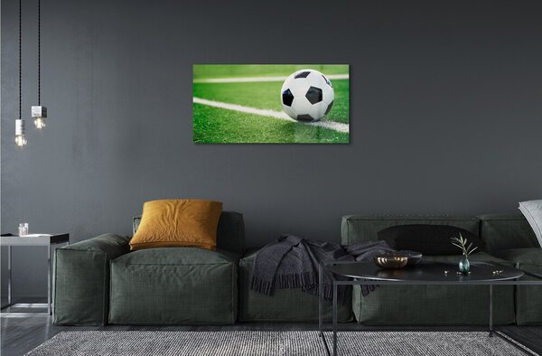 Quadro in vetro Palla da prato 100x50 cm 2 appendini