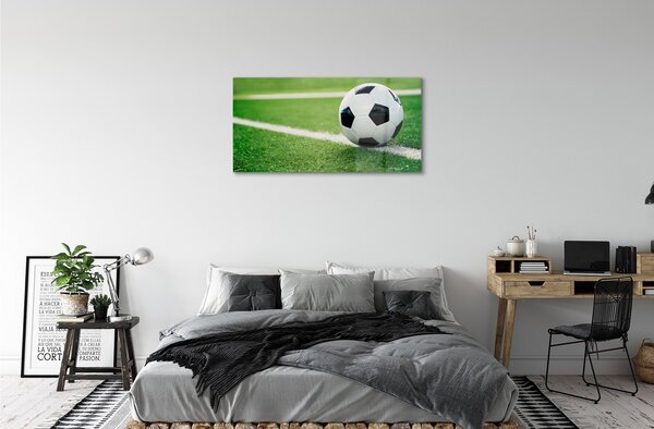 Quadro in vetro Palla da prato 100x50 cm 2 appendini