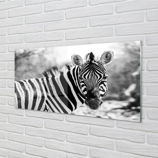 Quadro in vetro Zebra retrò 100x50 cm 2 appendini
