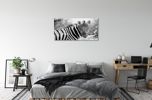Quadro in vetro Zebra retrò 100x50 cm 2 appendini