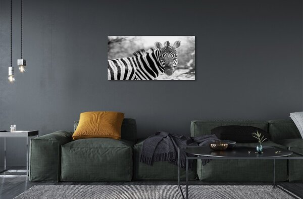 Quadro in vetro Zebra retrò 100x50 cm 2 appendini