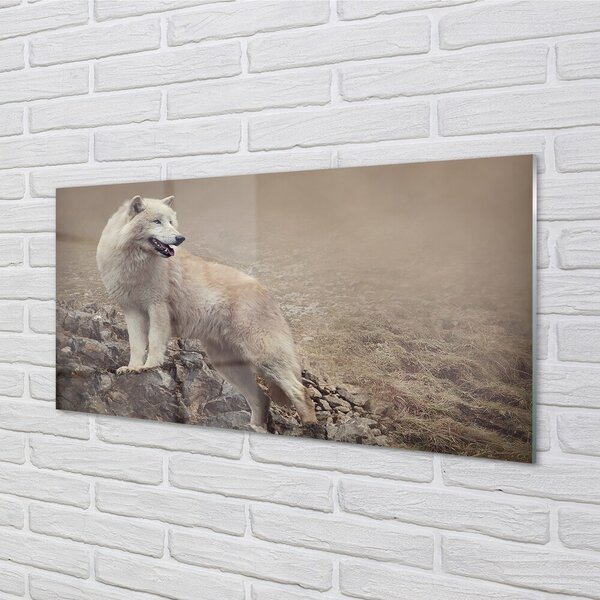 Quadro vetro Lupo di montagna 100x50 cm 2 appendini