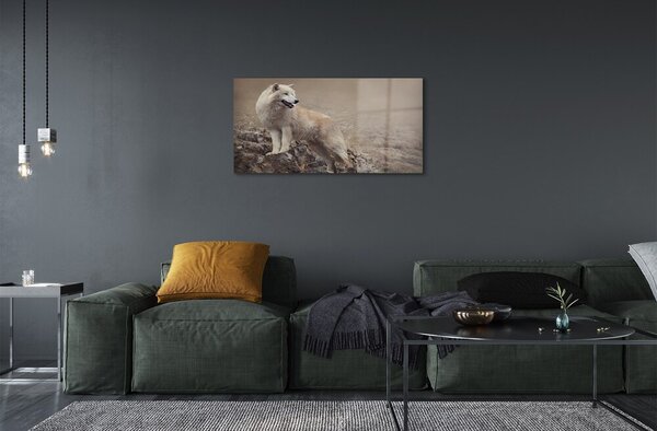 Quadro vetro Lupo di montagna 100x50 cm 2 appendini