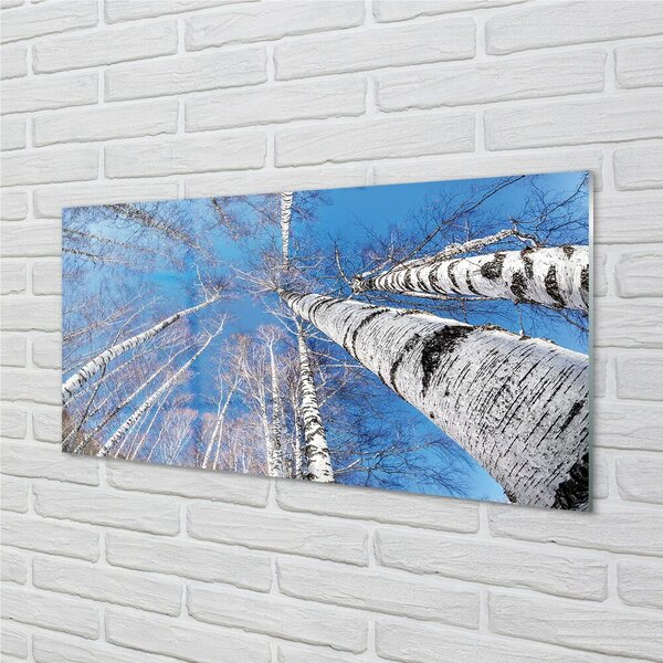 Quadro in vetro Cielo di betulle 100x50 cm 2 appendini