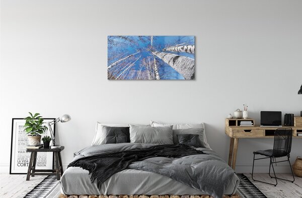 Quadro in vetro Cielo di betulle 100x50 cm 2 appendini