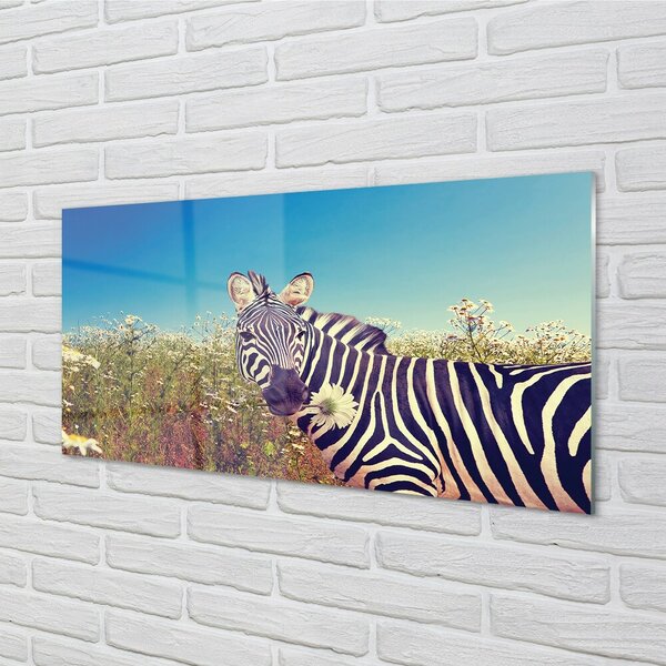 Quadro di vetro Fiori di zebra 100x50 cm 2 appendini