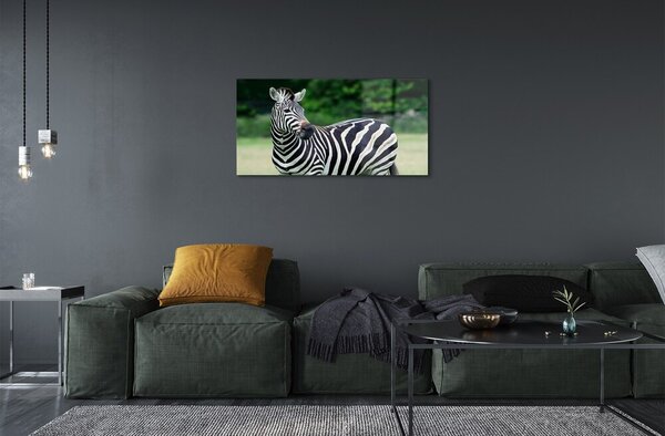 Quadro in vetro Campo zebrato 100x50 cm 2 appendini