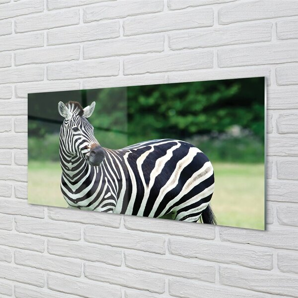 Quadro in vetro Campo zebrato 100x50 cm 2 appendini