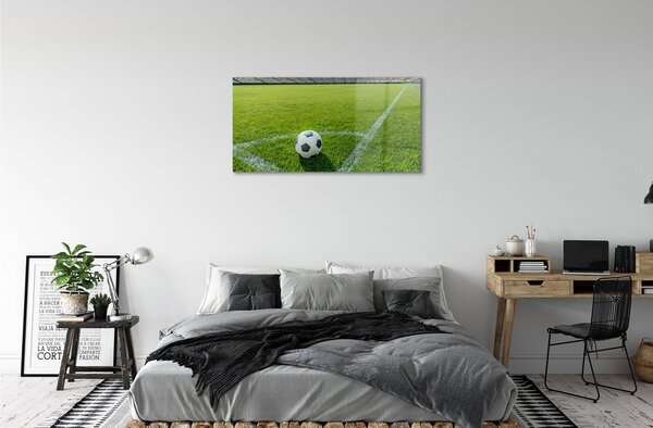 Quadro su vetro Erba per palloni da stadio 100x50 cm 2 appendini