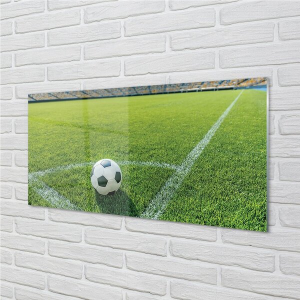 Quadro su vetro Erba per palloni da stadio 100x50 cm 2 appendini