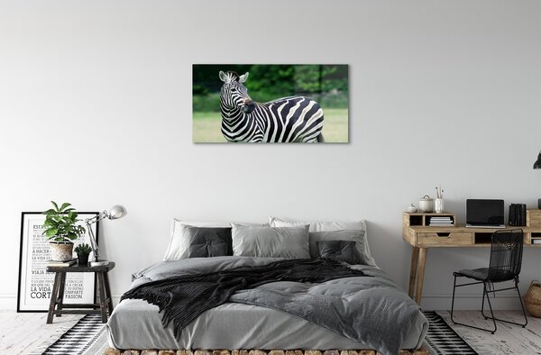 Quadro in vetro Campo zebrato 100x50 cm 2 appendini