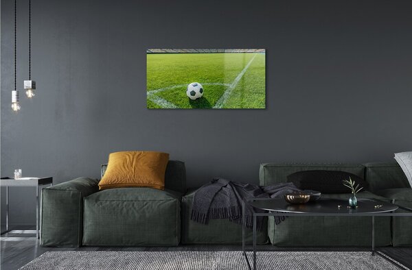 Quadro su vetro Erba per palloni da stadio 100x50 cm 2 appendini