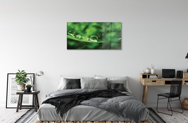 Quadro su vetro Macro gocce d'acqua 100x50 cm 2 appendini