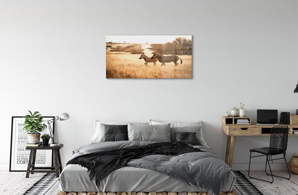 Quadro vetro Campo zebrato al tramonto 100x50 cm 2 appendini