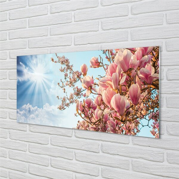 Quadro su vetro Magnolia cielo sole 100x50 cm 2 appendini