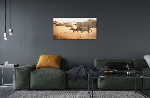 Quadro vetro Campo zebrato al tramonto 100x50 cm 2 appendini