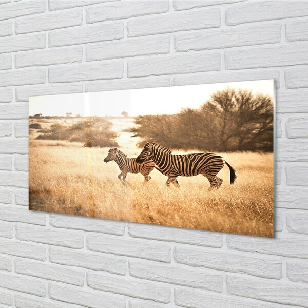Quadro vetro Campo zebrato al tramonto 100x50 cm 2 appendini