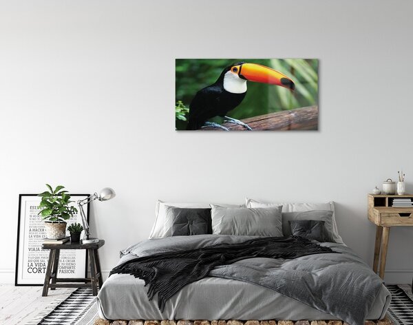 Quadro su vetro Tucano su un ramo 100x50 cm 2 appendini