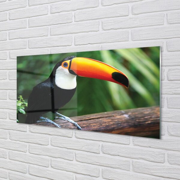 Quadro su vetro Tucano su un ramo 100x50 cm 2 appendini