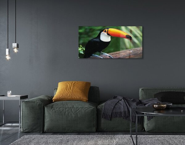 Quadro su vetro Tucano su un ramo 100x50 cm 2 appendini