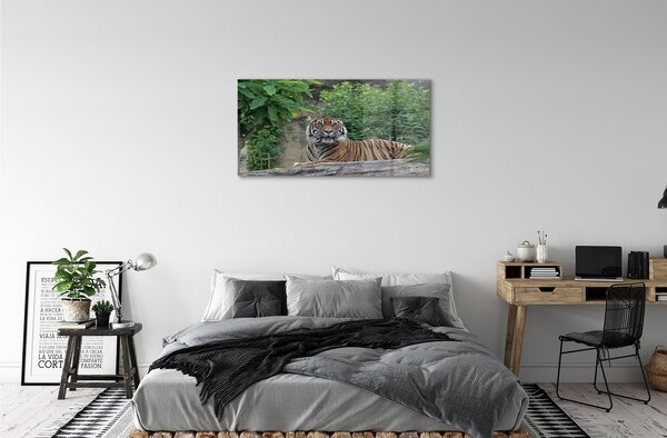 Quadro in vetro Foresta delle tigri 100x50 cm 2 appendini