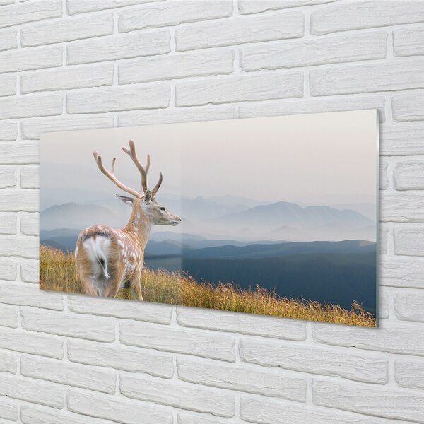 Quadro su vetro Le montagne dei cervi 100x50 cm 2 appendini