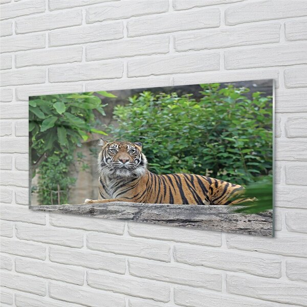 Quadro in vetro Foresta delle tigri 100x50 cm 2 appendini