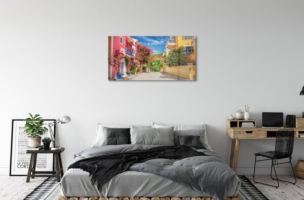 Quadro in vetro Grecia fiori edifici top 100x50 cm 2 appendini