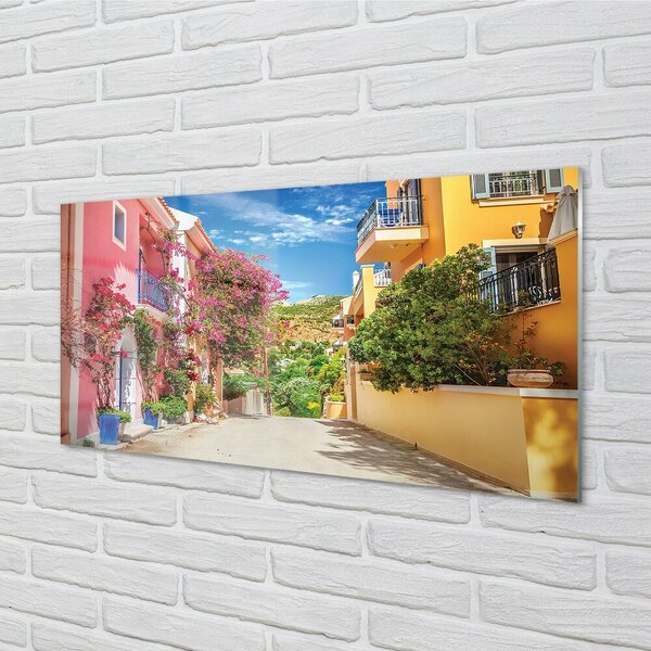 Quadro in vetro Grecia fiori edifici top 100x50 cm 2 appendini