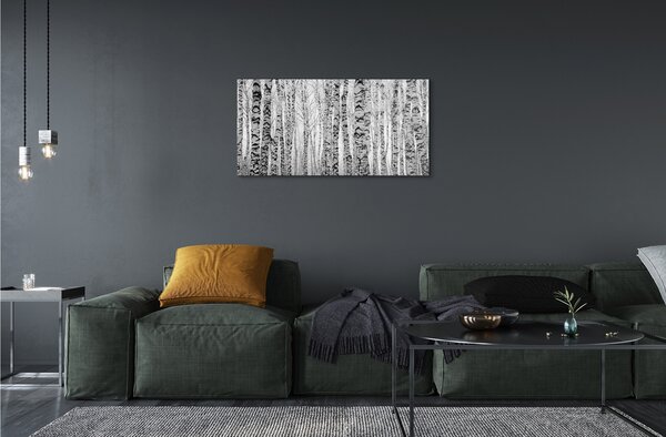 Quadro in vetro Betulle bianche e nere 100x50 cm 2 appendini