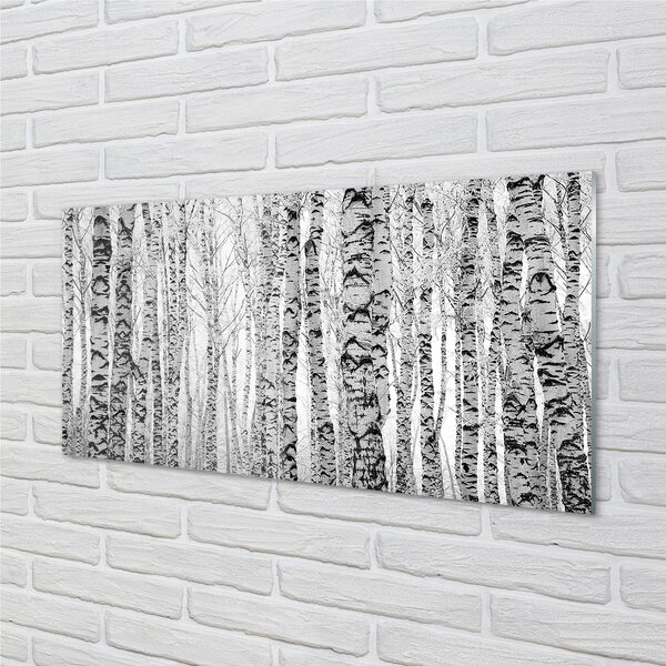 Quadro in vetro Betulle bianche e nere 100x50 cm 2 appendini