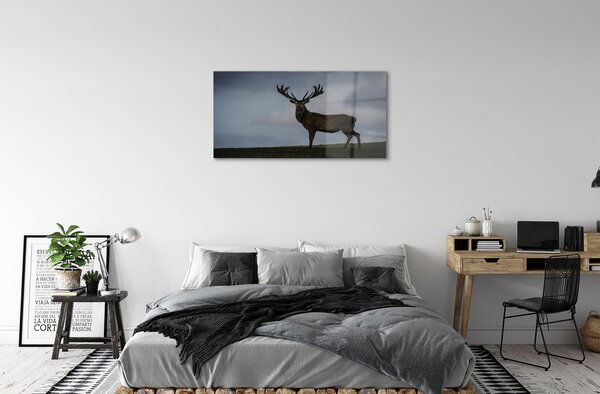 Quadro su vetro Notte da cervi 100x50 cm 2 appendini