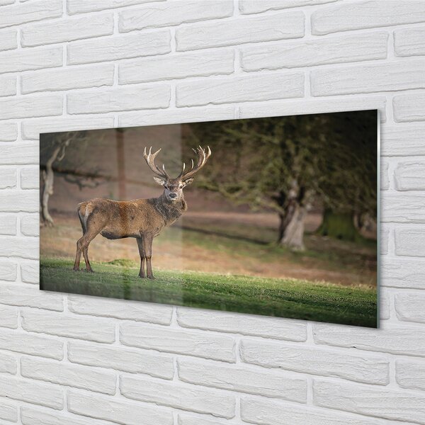 Quadro in vetro Cervi nel campo 100x50 cm 2 appendini
