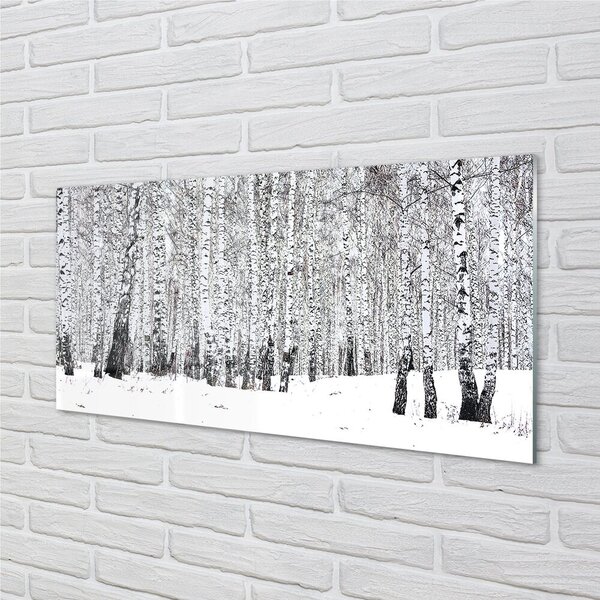 Quadro vetro Alberi betulle invernali 100x50 cm 2 appendini
