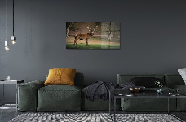 Quadro in vetro Cervi nel campo 100x50 cm 2 appendini