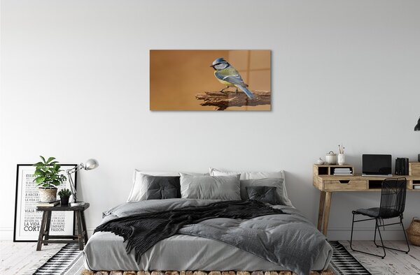 Quadro vetro Uccello 100x50 cm 2 appendini
