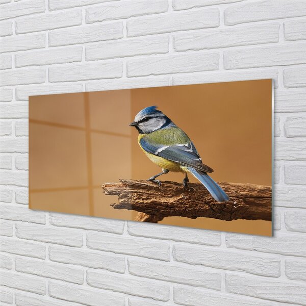 Quadro vetro Uccello 100x50 cm 2 appendini