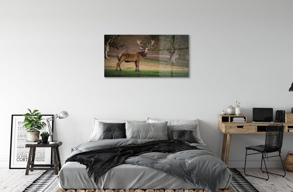 Quadro in vetro Cervi nel campo 100x50 cm 2 appendini