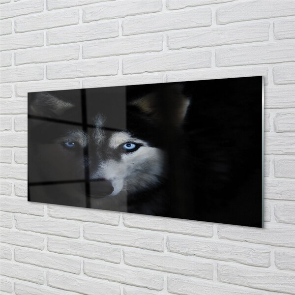 Quadro in vetro Occhi di lupo 100x50 cm 2 appendini