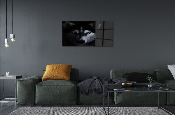 Quadro in vetro Occhi di lupo 100x50 cm 2 appendini