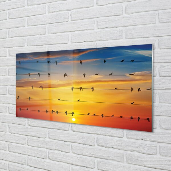 Quadro su vetro Uccelli al tramonto sulle corde 100x50 cm 2 appendini