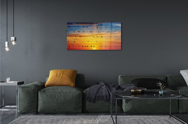 Quadro su vetro Uccelli al tramonto sulle corde 100x50 cm 2 appendini