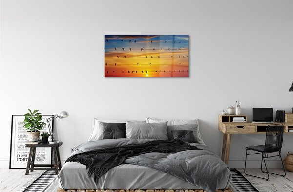 Quadro su vetro Uccelli al tramonto sulle corde 100x50 cm 2 appendini