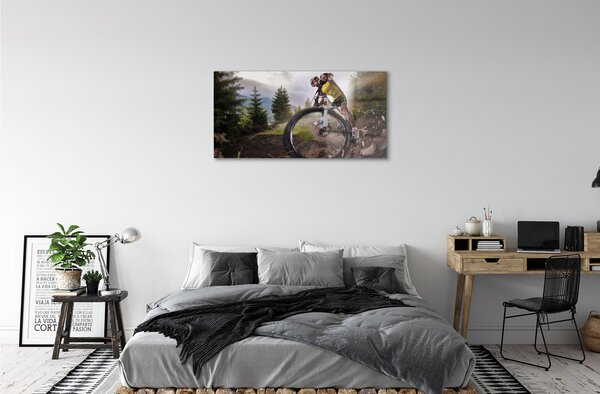 Quadro in vetro Mountain bike cloud 100x50 cm 2 appendini