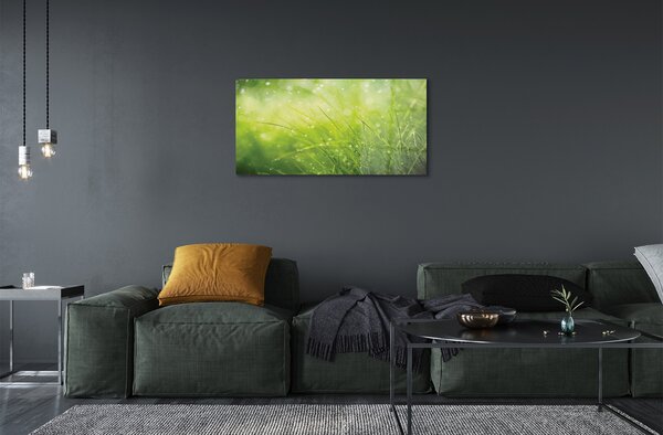 Quadro vetro Gocce di rugiada 100x50 cm 2 appendini