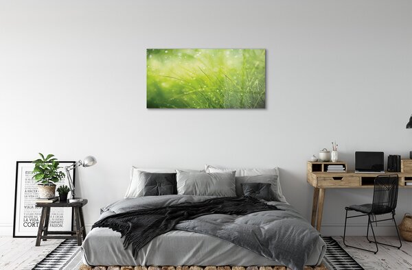 Quadro vetro Gocce di rugiada 100x50 cm 2 appendini